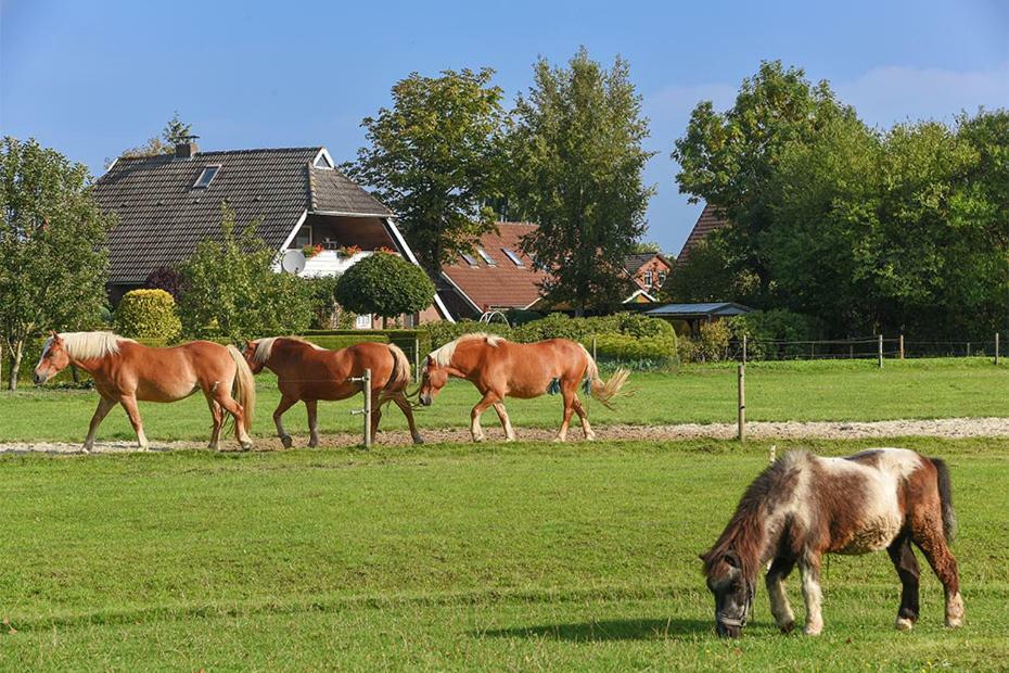 Ferienhof Zur Alten Linde Holtgast Luaran gambar